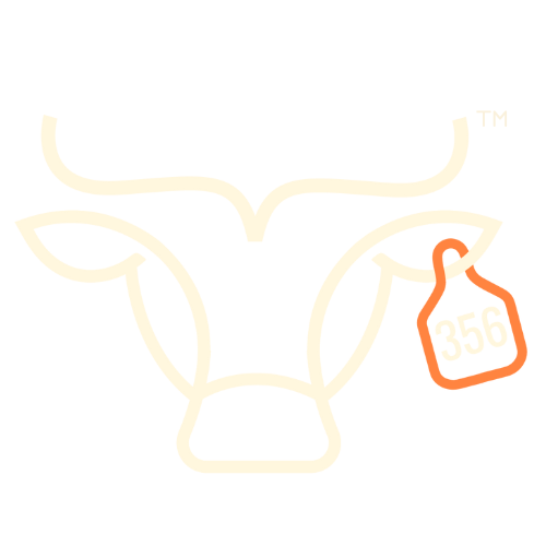 Three 5 Six Coffee