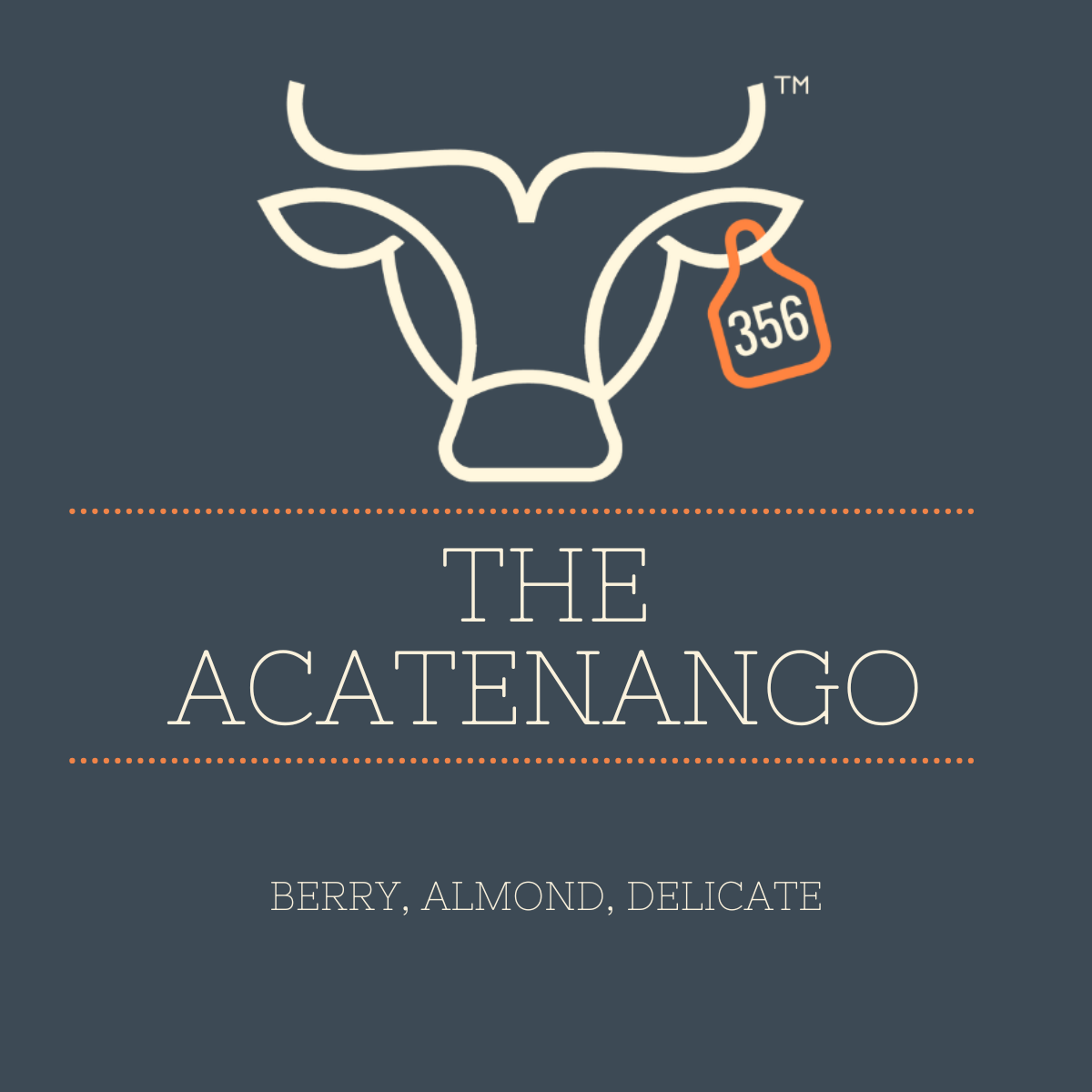 The Acatenango